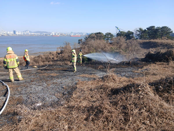 지난 7일 인천 중구 한 임야가 불에 탄 모습.인천소방본부 제공