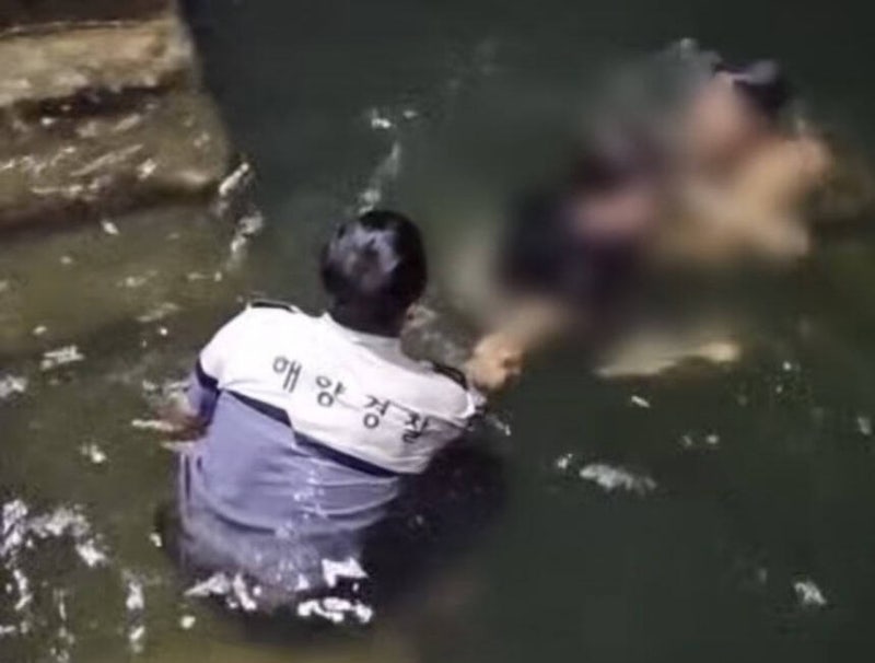 [속보] 음주 측정 거부하고 도주하던 30대, 차량째 <b>바다</b>에 빠져