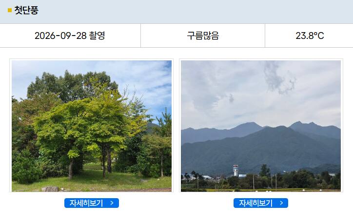 기상청 '유명산 단풍현황'. 기상청 제공