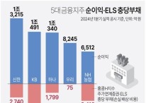 [그래픽] 5대 금융지주 순이익·ELS 충당부채