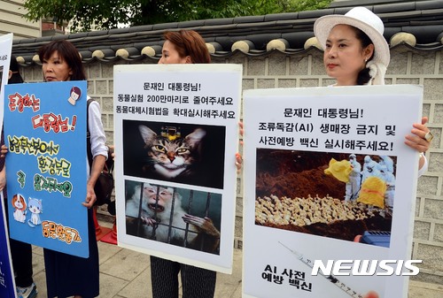 뉴스 썸네일