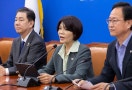 금융당국 개편안 결국 철회