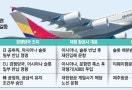 日 독점규제 허점 탓…아시아나·LCC 충돌