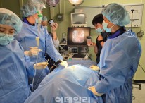 더블유에스아이, 국내 첫 ‘반려동물용 척추수술 내시경’ 개발