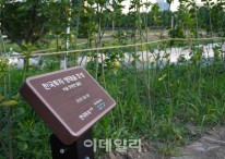 한국투자증권, 서울 중랑천에 '한국투자 생태숲' 조성