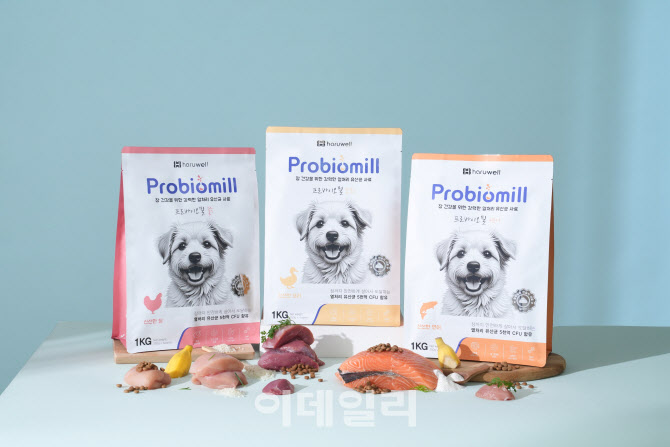 뉴스 썸네일