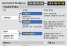 혼란 키운 ‘반쪽개편’… 세종관가선 ‘한숨’