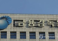 "장기 발전" vs "투심 위축"…금감원, 금투세 관련 시장전문가 간담회 개최