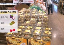 비싼 국내산 과일 대신 망고스틴·키위 '불티'