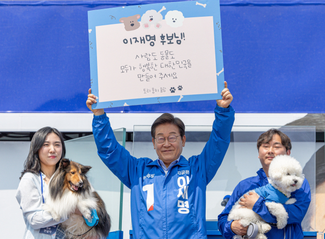 뉴스 썸네일