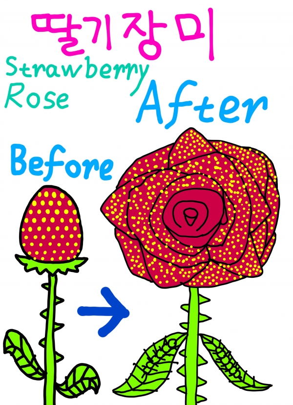 ���� �ߴ������ �������ǿ� ������ ���¹� ���� �׸� ��ǰ �ϼ��빮��û