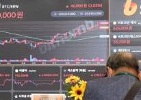 최고가 찍은 비트코인, 트럼프 한마디에 급락… 11만달러 '붕괴'