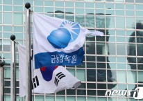 금감원, 사모펀드 운용사 업무설명회 개최…"신시스템 사용법 안내"