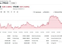 테슬라 1.80% 하락-리비안 3.48% 급등, 전기차 혼조(상보)