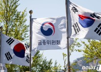 "전환사채 불공정 꼼수 막는다"…금융위, '공시·전환가 조정' 규정 변경