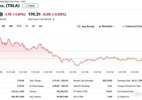 BYD 판매 급증+주주들 머스크 고소, 테슬라 1% 하락