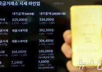 금값이 '금값'