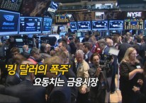 [영상구성] '킹 달러의 폭주' 요동치는 금융시장
