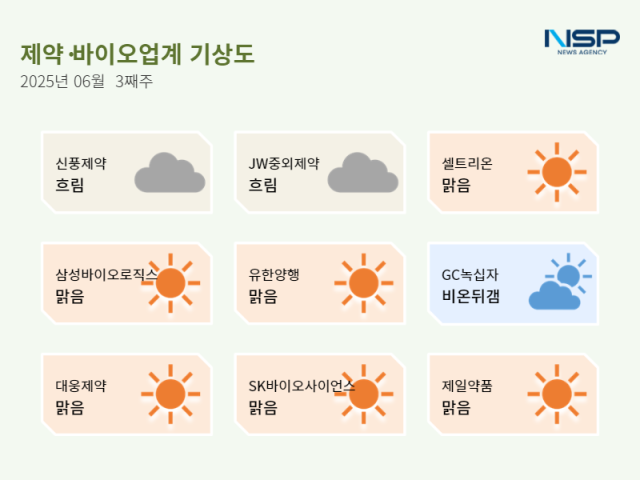 뉴스 썸네일