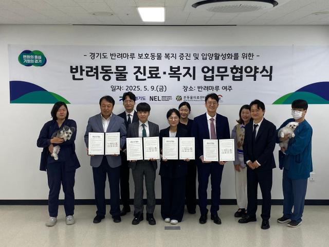 뉴스 썸네일