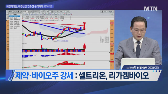 뉴스 썸네일