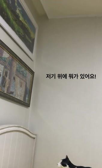 뉴스 썸네일
