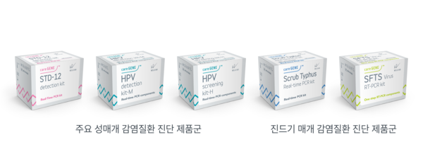 뉴스 썸네일