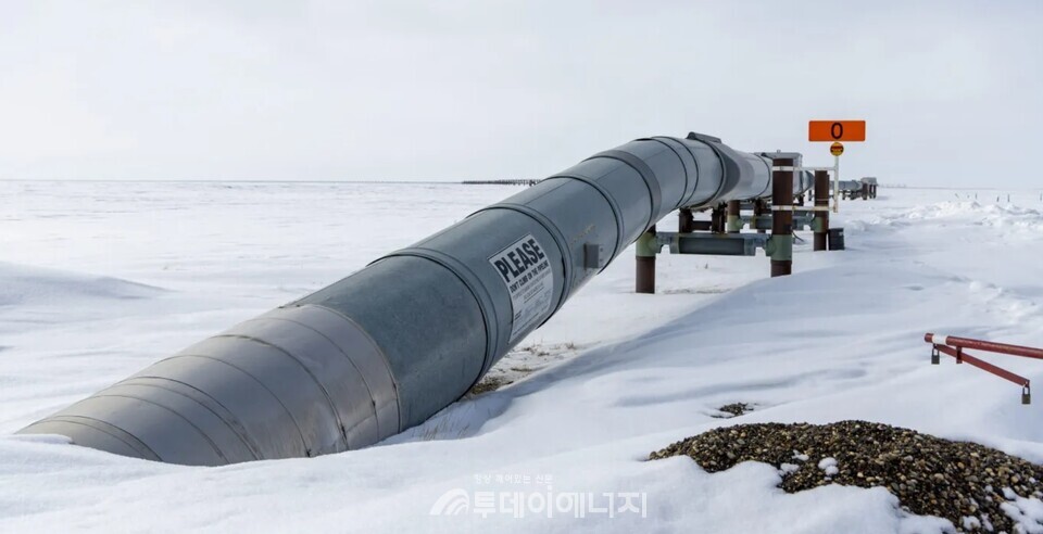 뉴스 썸네일