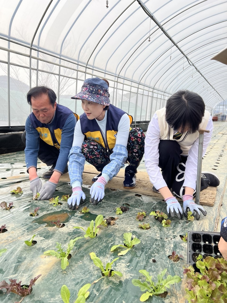 유은혜 경기도교육감 예비후보, 친환경 농장 방문