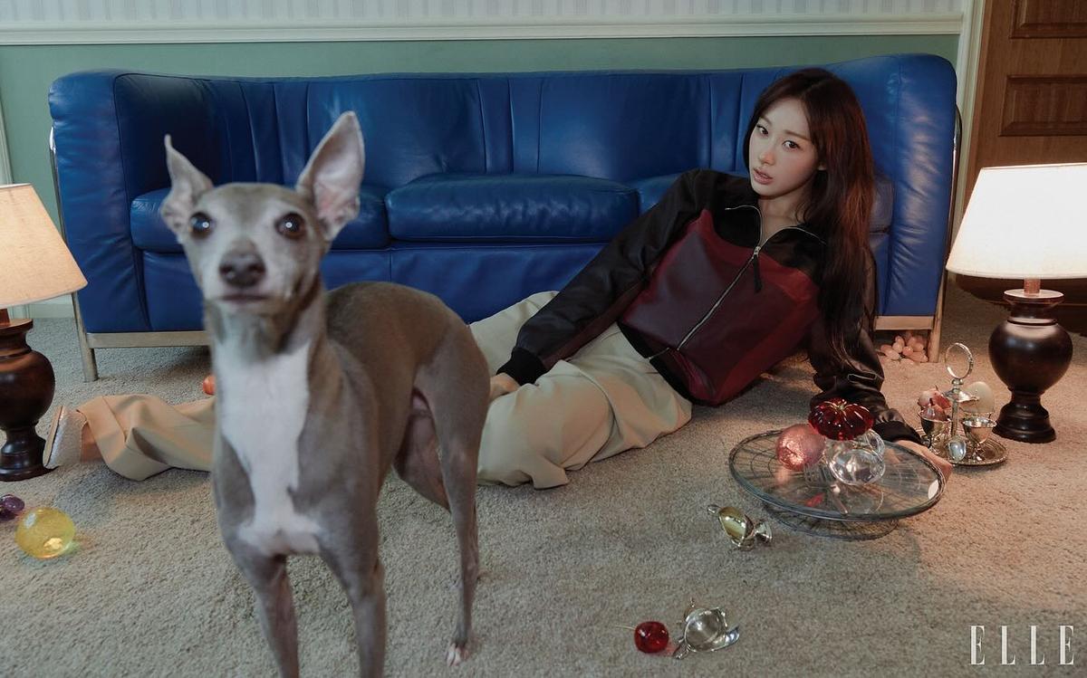 뉴스 썸네일