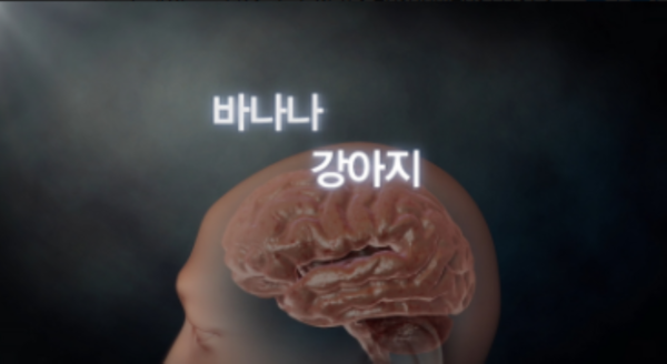 뉴스 썸네일
