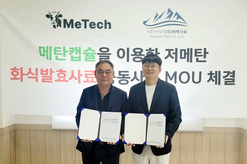 뉴스 썸네일