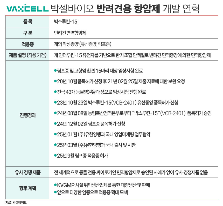 뉴스 썸네일