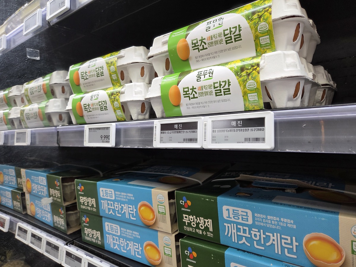 “아기 건강 위해, 반려견 떠올라서”… 조금 비싸도 ‘착한 계란’ 먹...