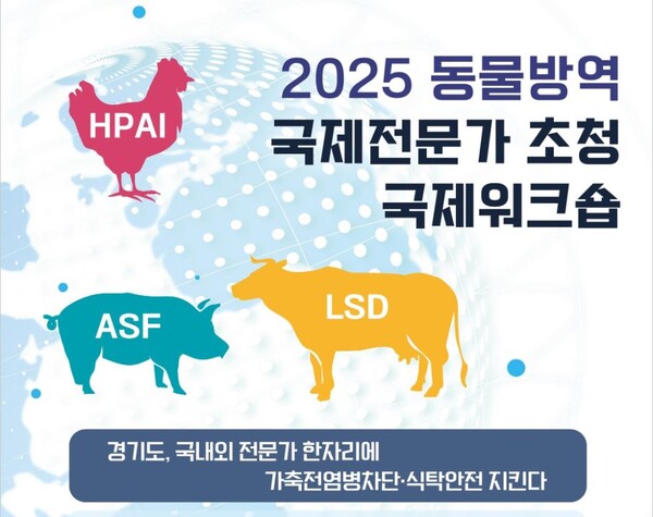 뉴스 썸네일