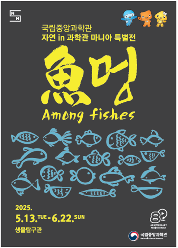 뉴스 썸네일