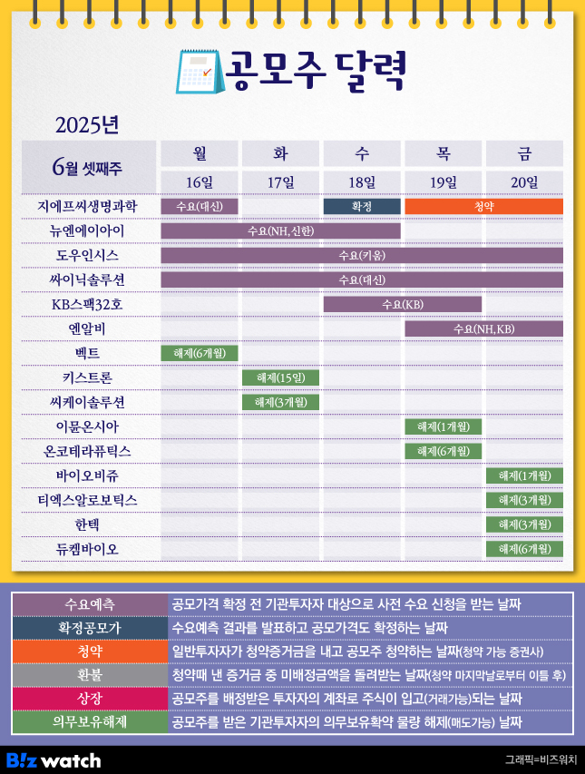 뉴스 썸네일