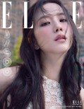 Jisoo Graces the Cover of Elle’s December Issue, Sparking Anticipation for Upcoming Activities