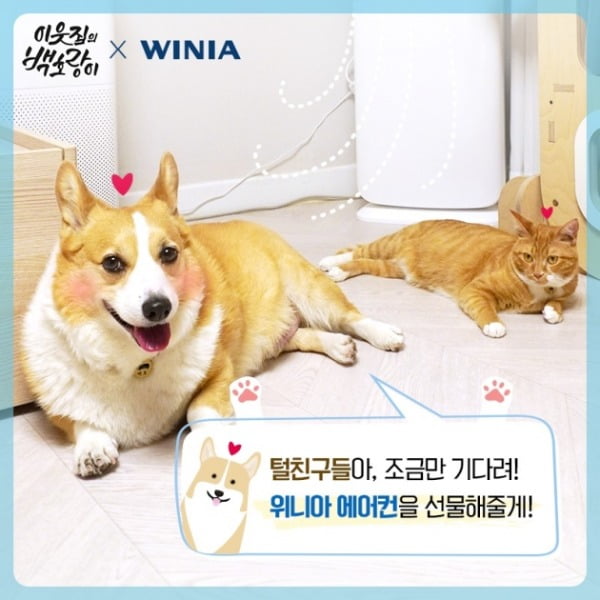 위니아IT 이미지