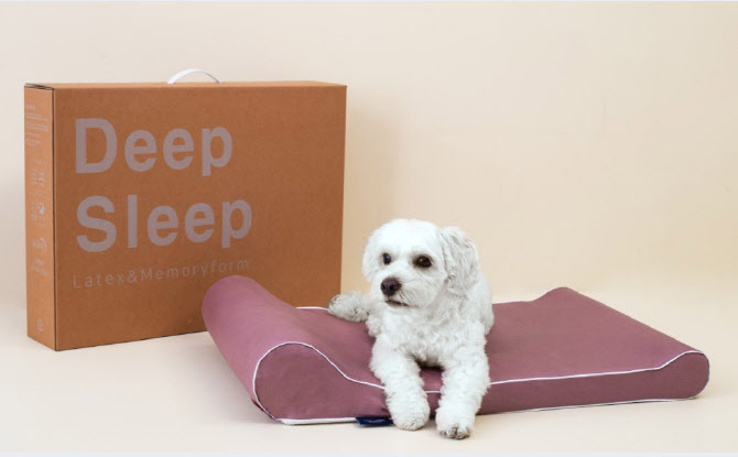 고양이방석 솔직 리뷰 관한 내용입니다