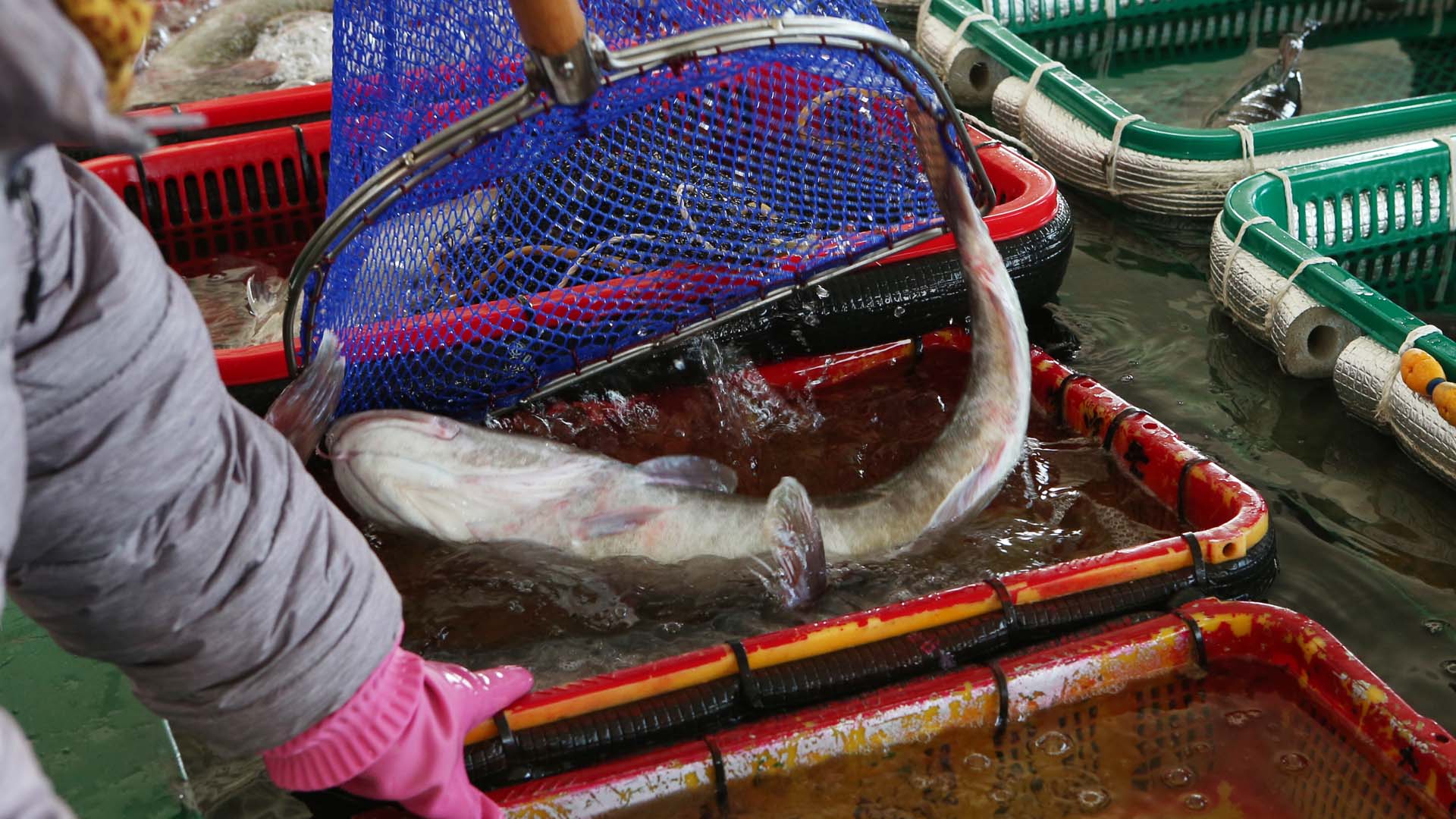 겨울보양식 진짜 리뷰 많은 내용