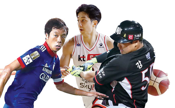 수원 4대 프로스포츠 품다